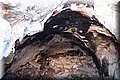 PC128954.JPG
