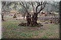 PC199155.JPG