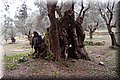 PC199157.JPG