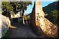 PC239211.JPG