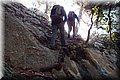 PC239216.JPG