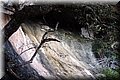 PC239245.JPG