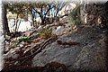 PC239253.JPG