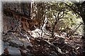 PC239254.JPG