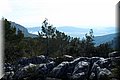 PC239255.JPG