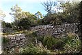 PC239265.JPG