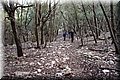 PC239266.JPG
