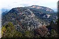 PC239270.JPG