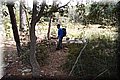 PC239274.JPG