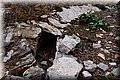 PC239280.JPG