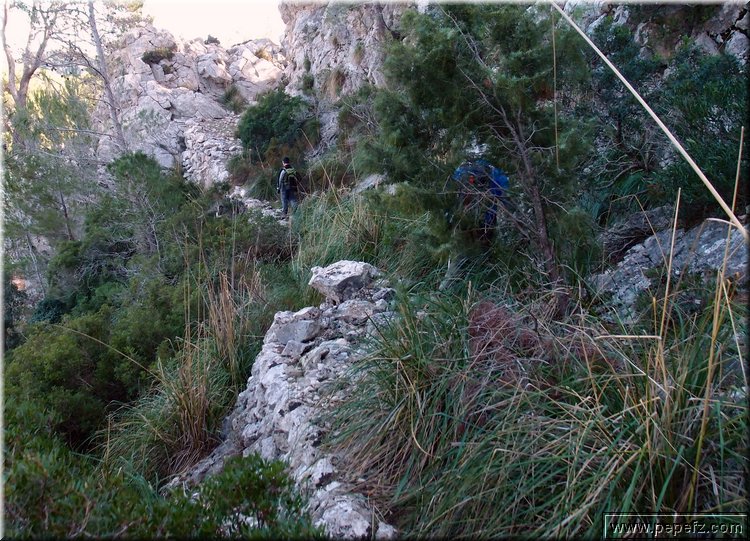 PC309645.JPG