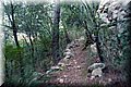 PC309554.JPG