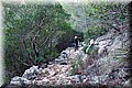 PC309556.JPG