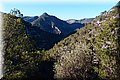 PC309559.JPG