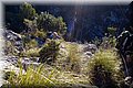 PC309560.JPG
