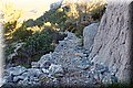 PC309566.JPG