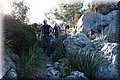 PC309567.JPG