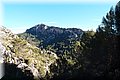 PC309636.JPG
