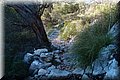 PC309638.JPG
