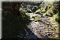 PC309639.JPG