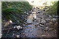 PC309640.JPG