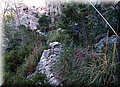 PC309645.JPG