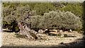PC309654.JPG