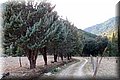 PC309661.JPG