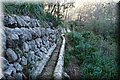 P1099903.JPG