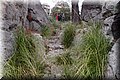 P1200437.JPG