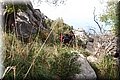 P2172278.JPG