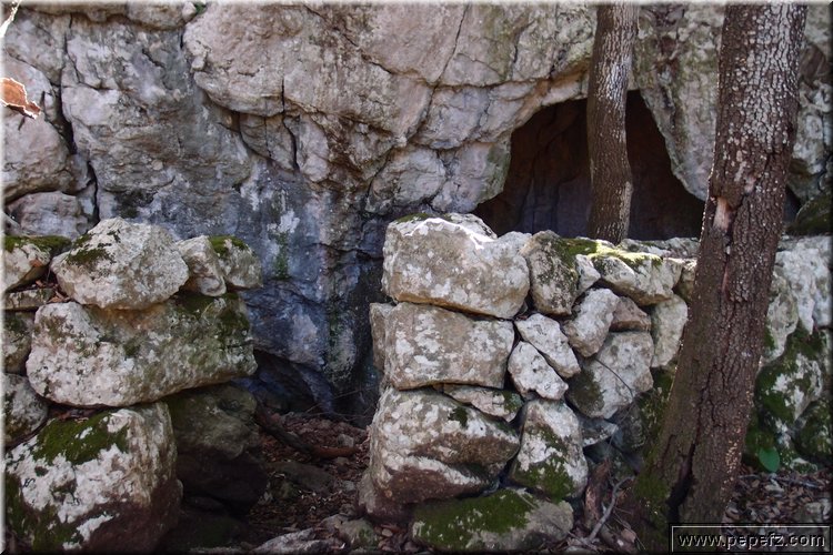 P2202429.JPG