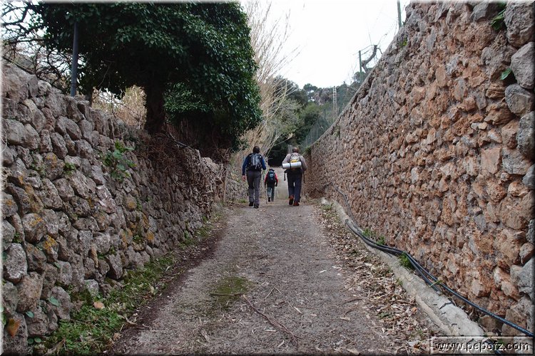 P2273043.JPG