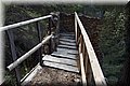 P3090205.JPG