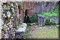 P3100320.JPG