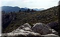 P3130664.JPG