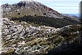 P3240617.JPG