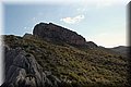 P5151419.JPG