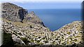 P6160567.JPG