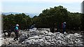 P6260954.JPG