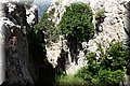P6301123.JPG