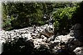 P6301163.JPG