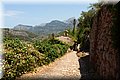 P7171359.JPG