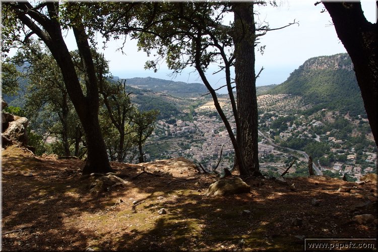 P7281530.JPG