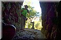 P7311550.JPG