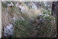 P8041585.JPG