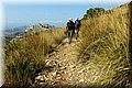 P8071617.JPG