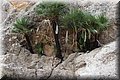 P8071654.JPG