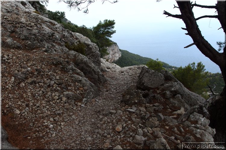 P8141820.JPG