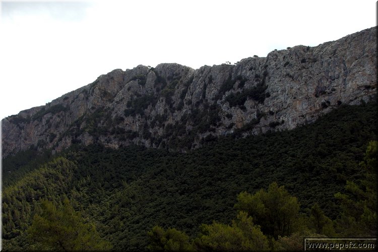 P8141827.JPG